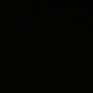 Meet your Posher, Ryann